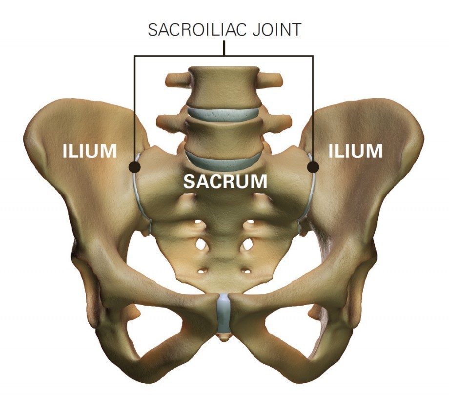 The Sacroiliac Joint in all it's glory! 