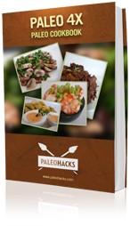 Paleo recipe book - all recipes only contain 4 ingredients or less