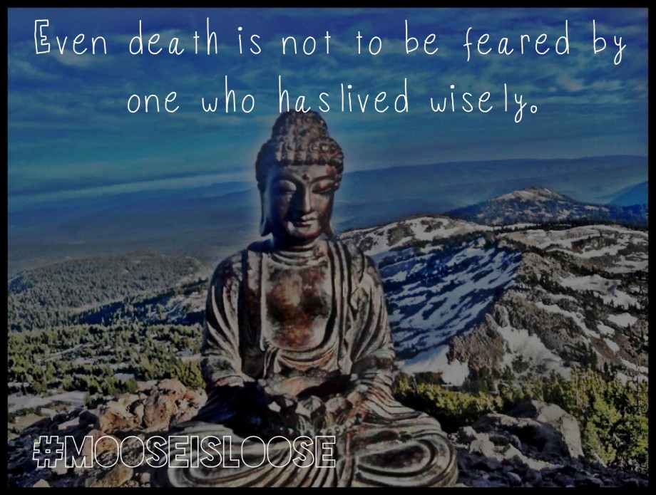 Buddha Quote Picture Quote 5
