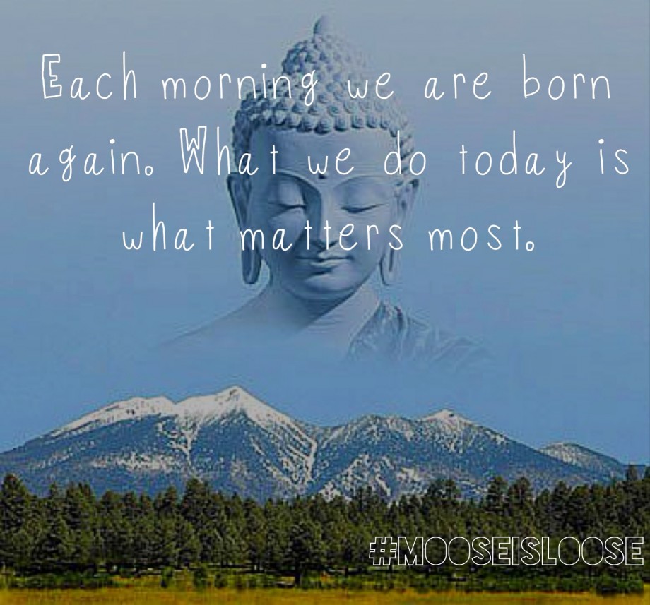 Buddha Quote Picture Quote 10