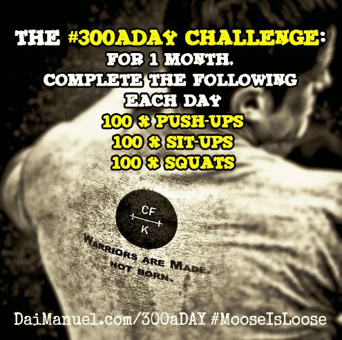 The #300aDay Challenge