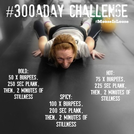 Dec 300aday challenge graphic
