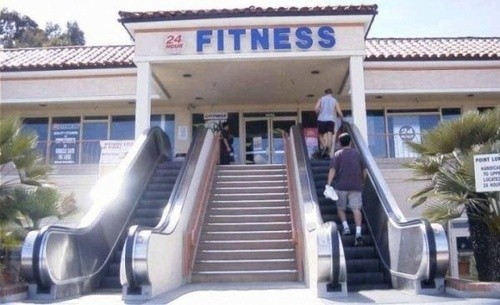 Why use the stairs? There's a perfectly good escalator I can use?! Duh!