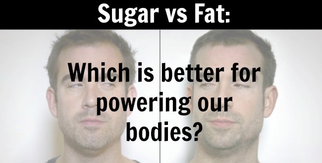 Sugar vs Fat: Which is better for powering our bodies