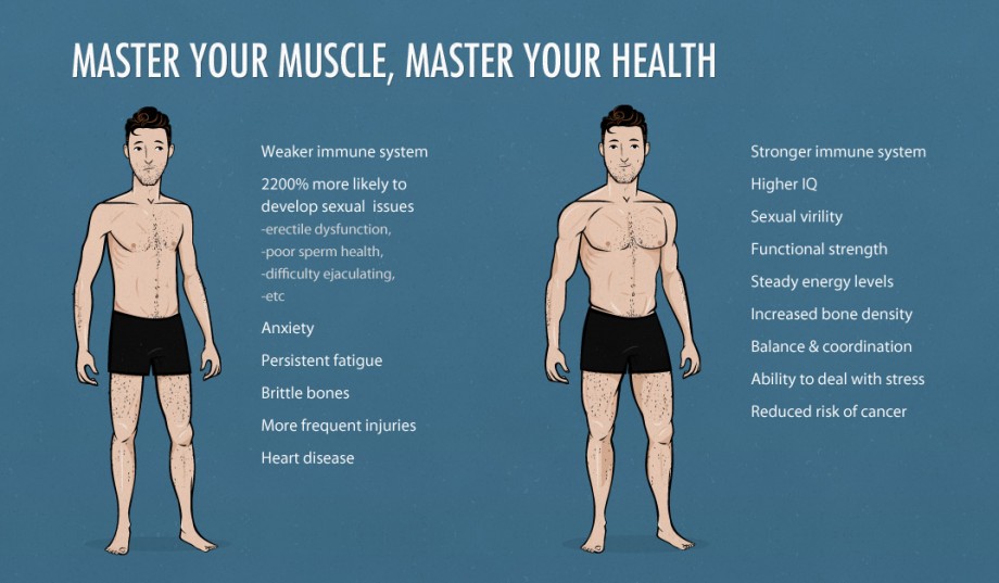the-ideal-male-body-weight-chart-skinny-vs-muscle