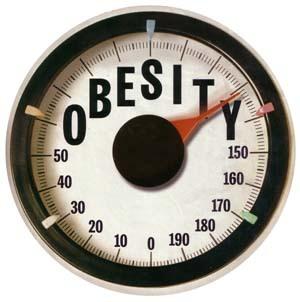Obesity Scale