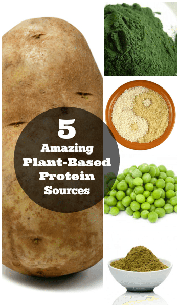 5 Amazing Plant Based Protein Sources