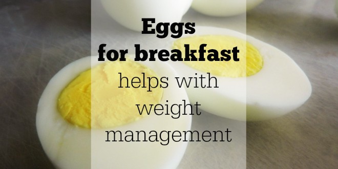 No Fowl Here! Eggs for breakfast helps with weight management
