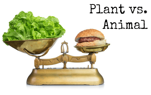 Plant versus Animal