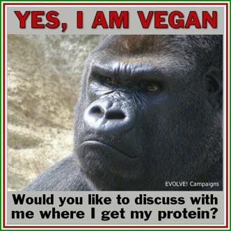 The Vegan Gorilla - you have a problem with that? 