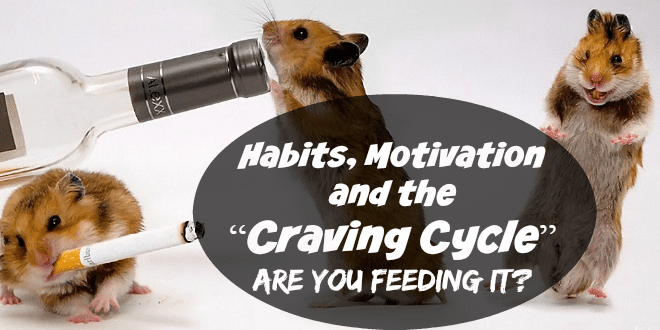 The Sugar “Craving Cycle”: Are you feeding it?