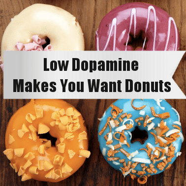 low dopamine makes you want donuts