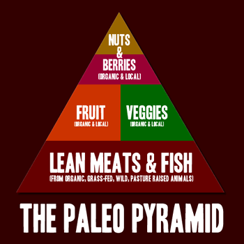 The Paleo Pyramid