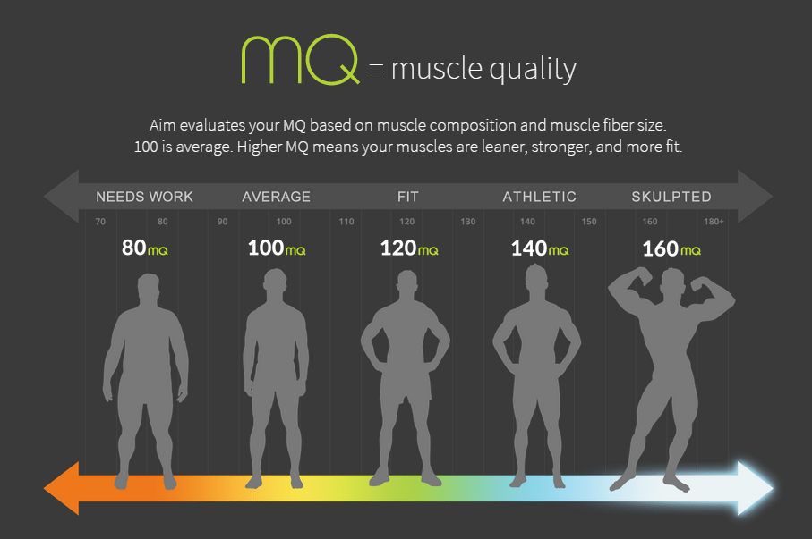 Skuplt MQ - Muscle Quality