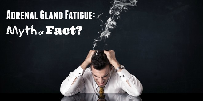 Adrenal Gland Fatigue: Myth or Fact?