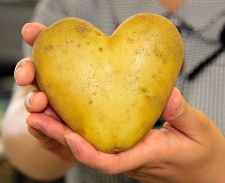 The Love and Hate Relationship with Potatoes