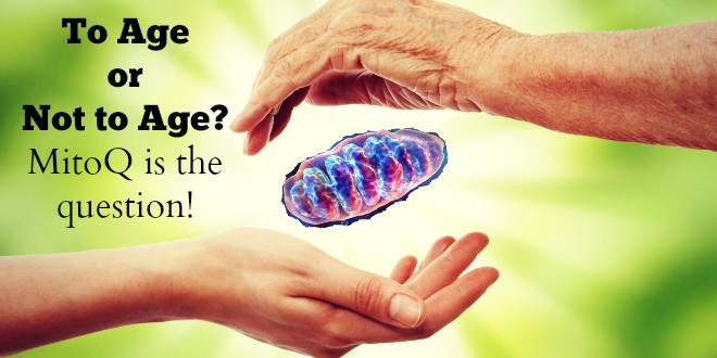 To Age or Not to Age? #MitoQ is the question