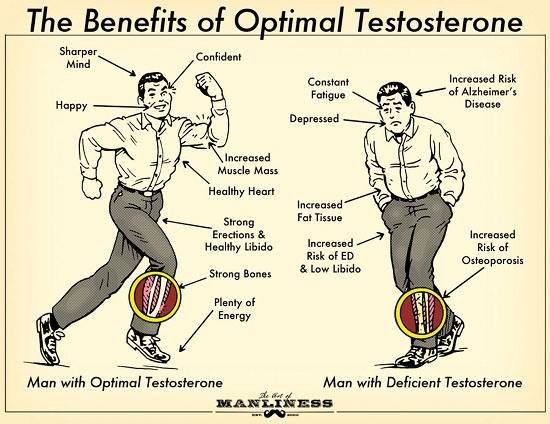 benefits of optimal testosterone level - art of manliness