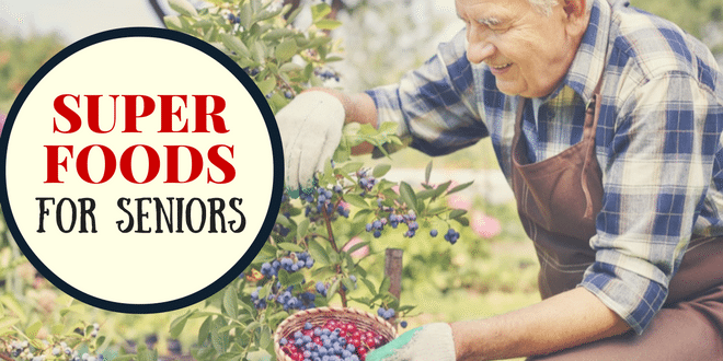 The Best Superfoods for Senior’s Health and Vitality