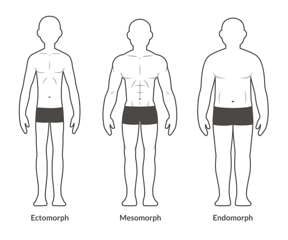 3 Male body types: Ectomorph, Mesomorph and Endomorph.