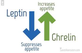 leptin suppresses appetite and ghrelin increases appetite