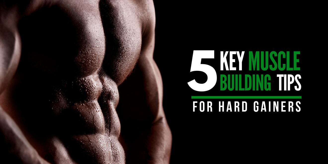 5 Key Muscle Building Tips For Hard Gainers