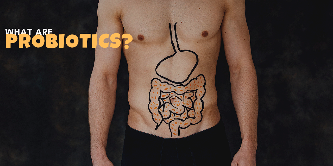 What are Probiotics? And Why do they keep us healthy?