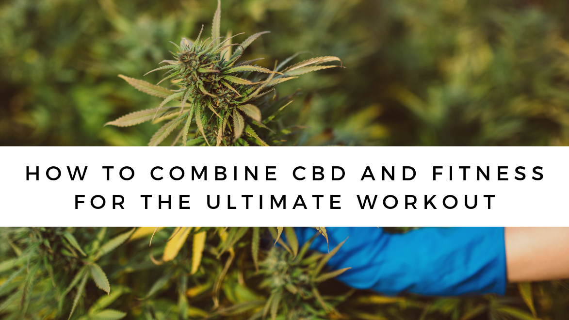 CBD and Fitness: Combining the Two for the Ultimate Workout