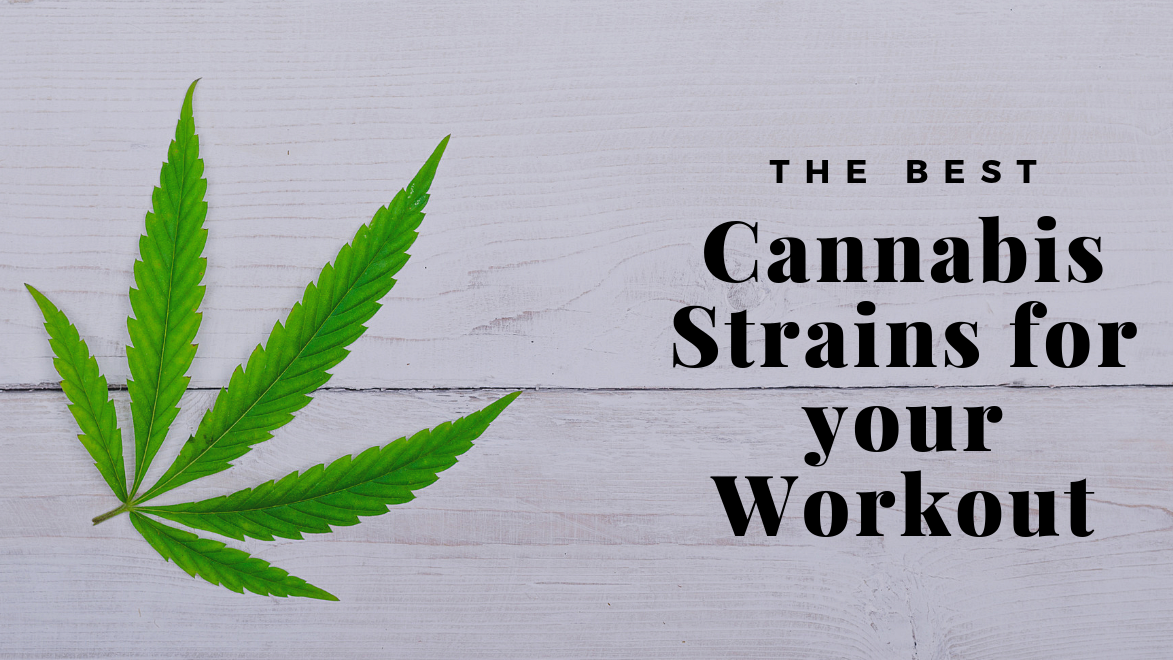 The Best Cannabis Strains for Your Workout