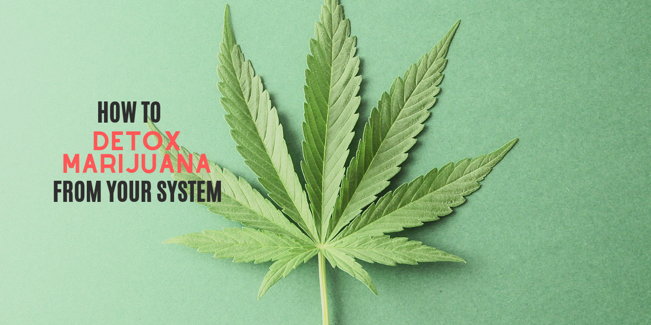 How to Detox Marijuana Out of Your System