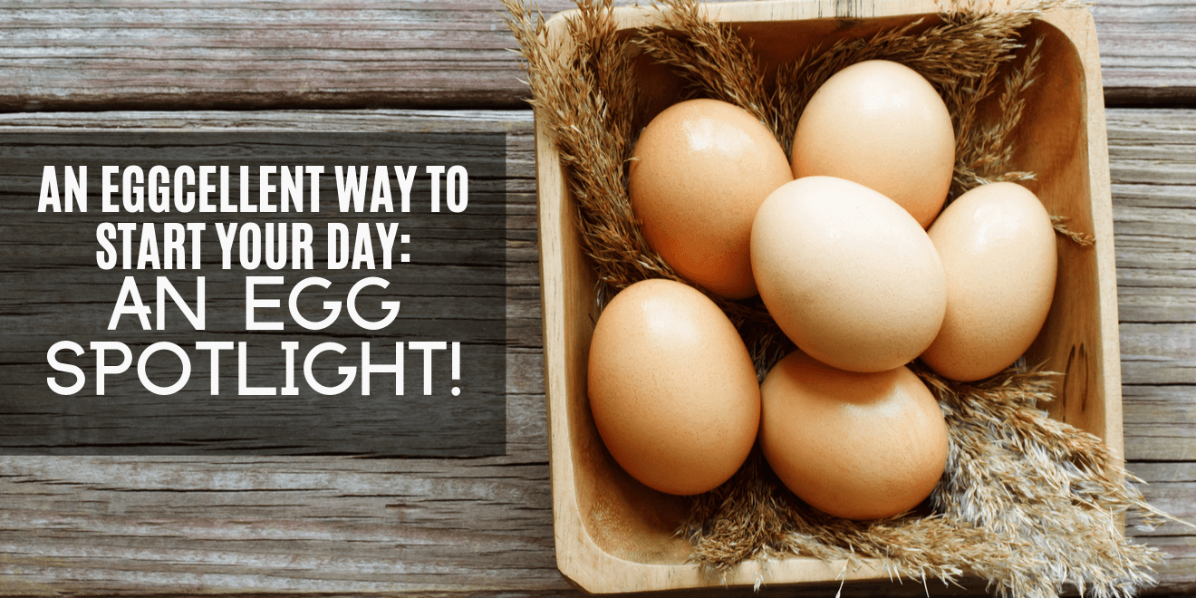 An EGGcellent way to start your day: A spotlight on eggs