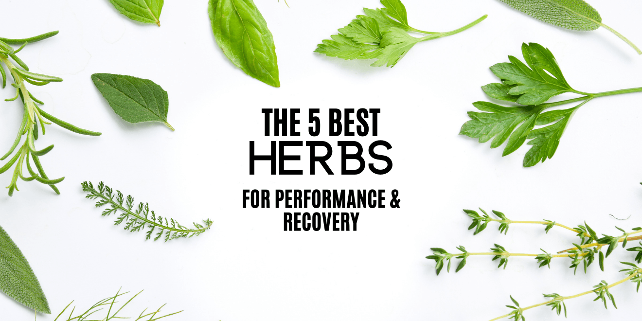 The Best Herbs to Improve Performance and Speed Recovery