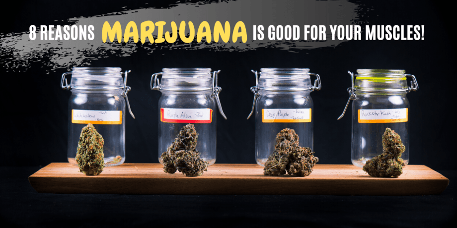 8 Reasons Marijuana is Good for Your Muscles