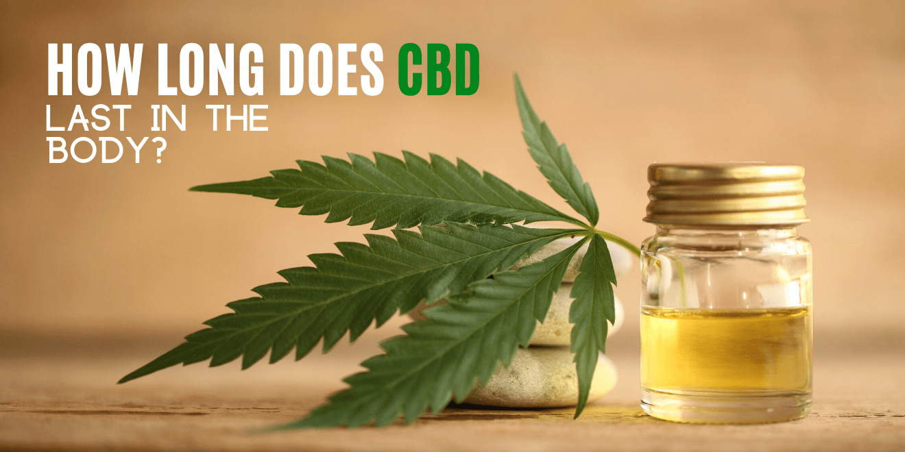 How Long Does CBD Last in the Body?