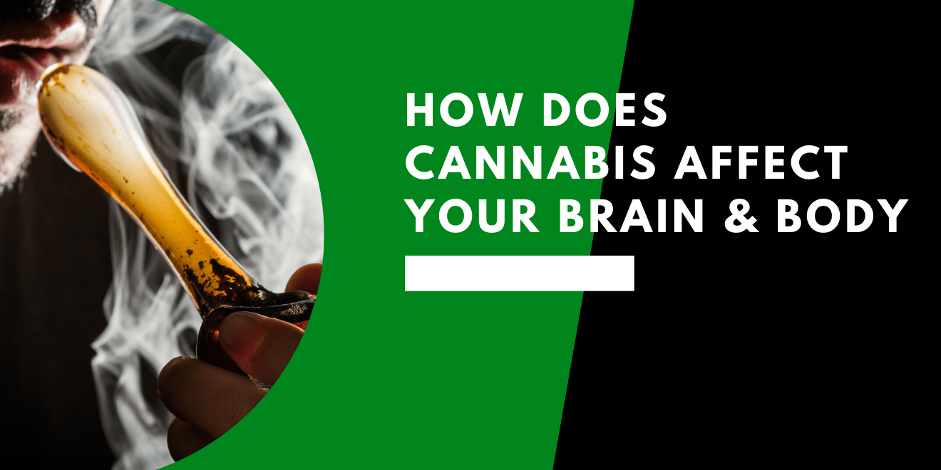 Cannabis: The How, What, Why of it
