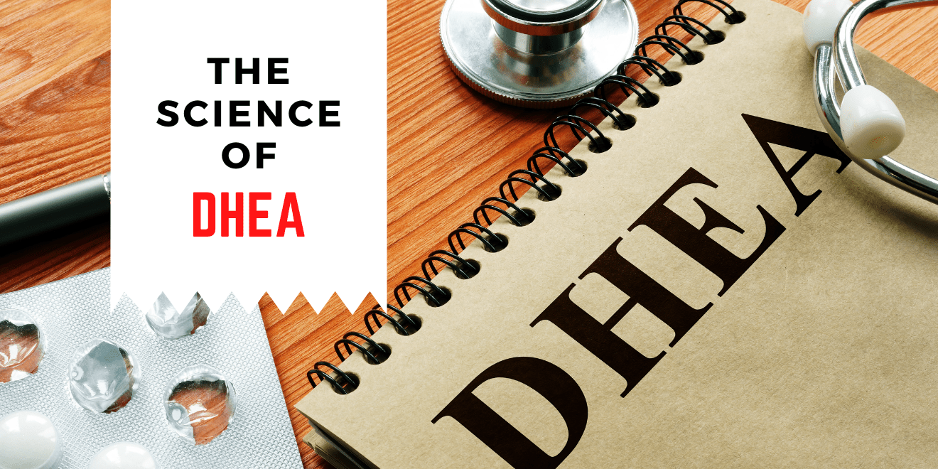The science of DHEA and Why supplementing with it can be beneficial?