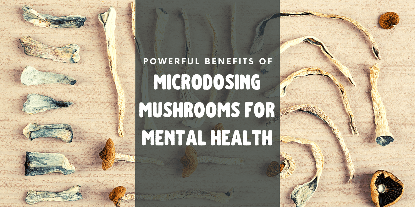 microdosing magic mushrooms for mental health