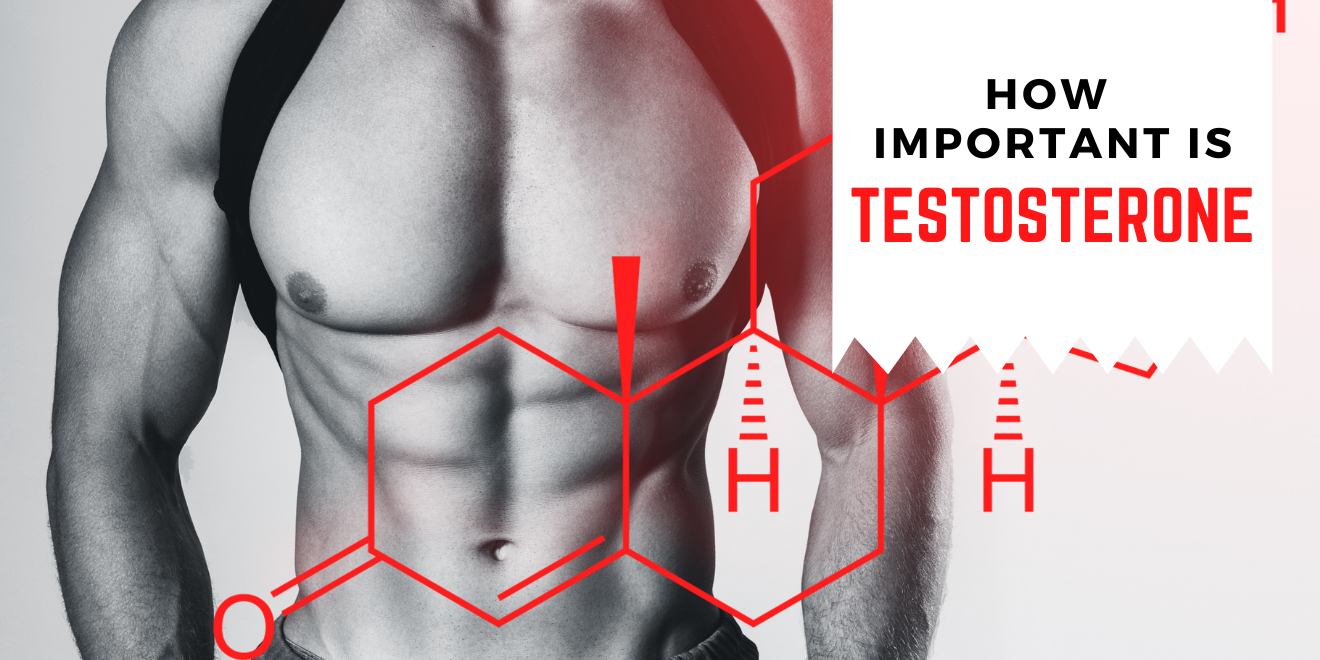 How Important is Testosterone? Everything You Need to Know